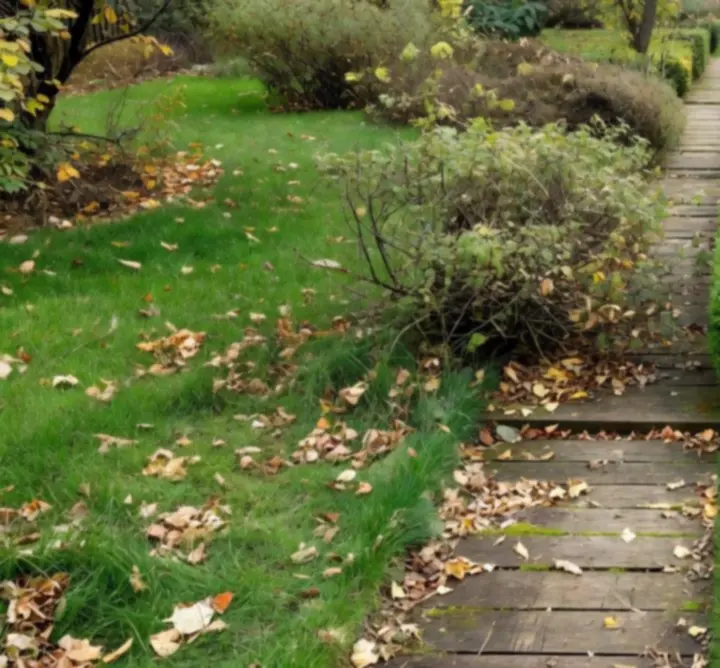 Przykład ogrodu przed i po sezonowej pielęgnacji